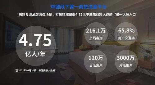 携旅科技 深耕专精特新，广州软件开发再获官方认可，发展潜力持续彰显